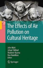 Effects of Air Pollution on Cultural Heritage