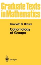 Cohomology of Groups