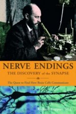 Nerve Endings, The Discovery Of The Synapse