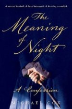 Meaning of Night
