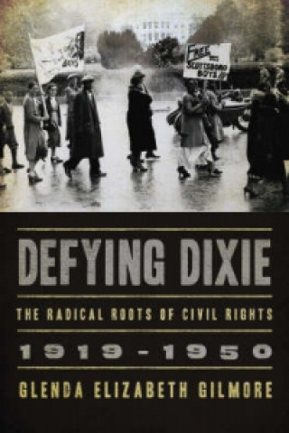 Defying Dixie
