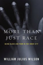 More Than Just Race