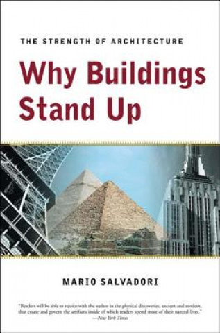 Why Buildings Stand Up (Mario Salvadori)(Brožovaná)