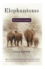 Elephantoms