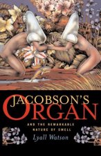 Jacobson's Organ