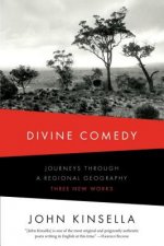 Divine Comedy