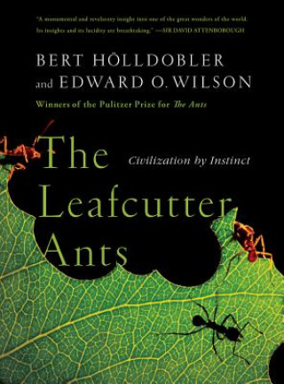 Leafcutter Ants