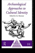 Archaeological Approaches to Cultural Identity