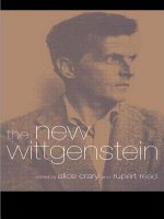 New Wittgenstein