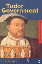 Tudor Government