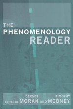 Phenomenology Reader