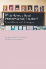 What Makes a Good Primary Teacher?