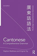 Cantonese: A Comprehensive Grammar