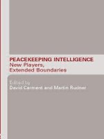 Peacekeeping Intelligence