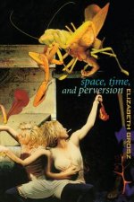 Space, Time and Perversion