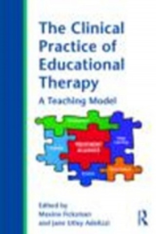 Clinical Practice of Educational Therapy