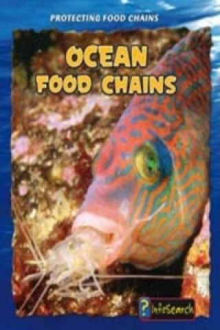 Ocean Food Chains