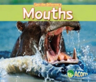 Mouths