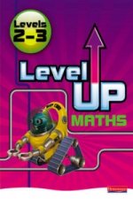Level Up Maths:  Access Book (Level 2-3)