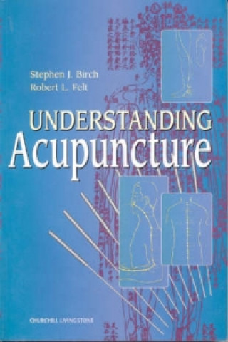 Understanding Acupuncture