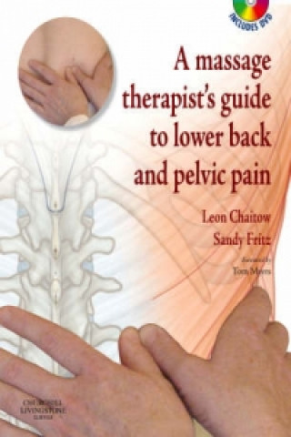 Massage Therapist's Guide to Lower Back & Pelvic Pain