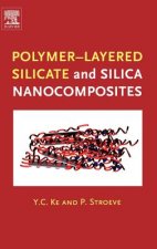 Polymer-Layered Silicate and Silica Nanocomposites