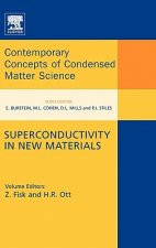 Superconductivity in New Materials