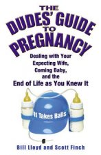 Dudes' Guide To Pregnancy