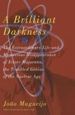 Brilliant Darkness