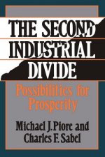 Second Industrial Divide