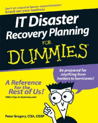 IT Disaster Recovery Planning For Dummies