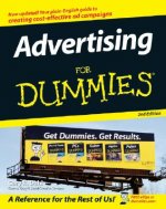 Advertising For Dummies 2e