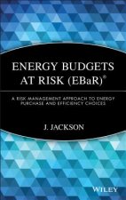 Energy Budgets at Risk (EBaR) - A Risk Management Approach to Energy Purchase and Efficiency Choices