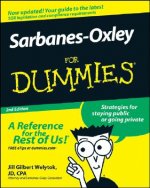 Sarbanes-Oxley For Dummies 2e