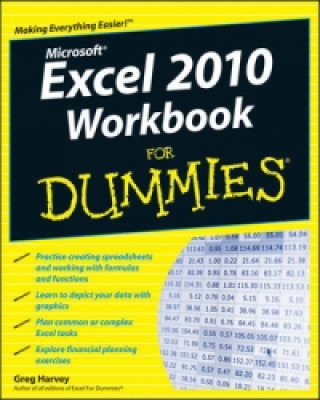 Excel 2010 Workbook For Dummies