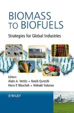 Biomass to Biofuels - Strategies for Global Industries
