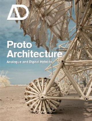 Proto Architecture - Analogue and Digital Hybrids
