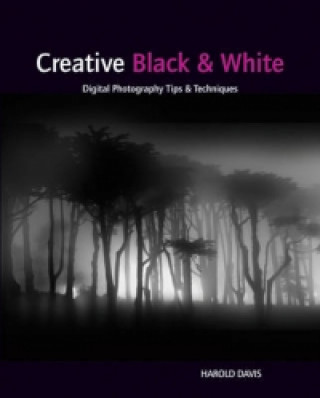 Creative Black and White