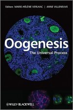 Oogenesis - The Universal Process