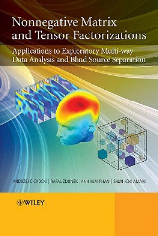 Nonnegative Matrix and Tensor Factorizations - Applications to Exploratory Multi-way Data Analysis and Blind Source Seperation