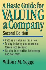 Basic Guide for Valuing a Company 2e