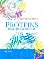 Proteins - Structure and Function