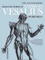 Illustrations from the Works of Andreas Vesalius of Brussels