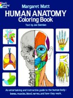 Human Anatomy