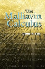 Malliavin Calculus