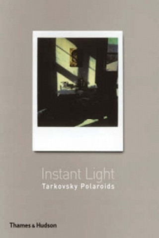 Instant Light  Tarkovsky Polaroids
