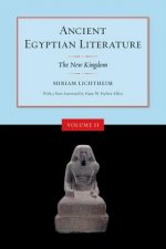 Ancient Egyptian Literature, Volume II