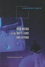 New Media in the White Cube and Beyond