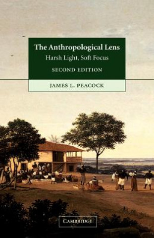 Anthropological Lens