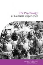 Psychology of Cultural Experience